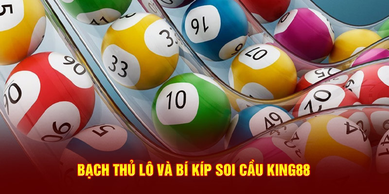 Bạch thủ lô và bí kíp soi cầu King88