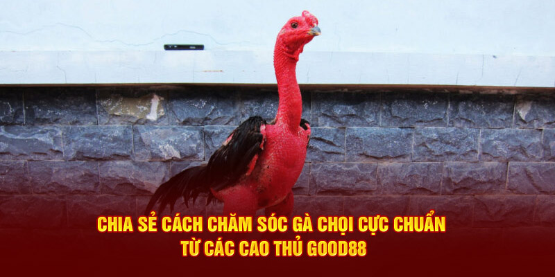 Theo dõi sức khỏe thường xuyên