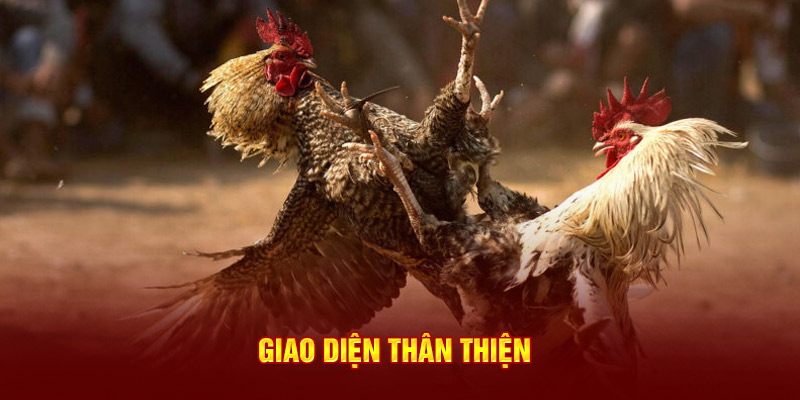 Giao diện thân thiện