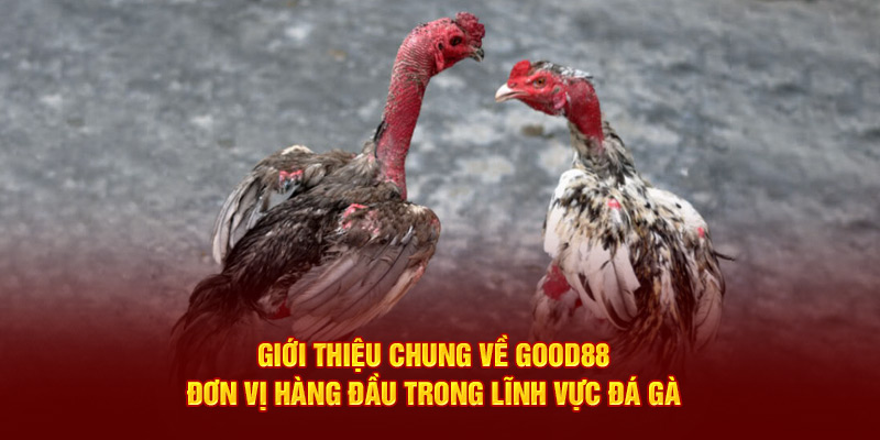 gioi-thieu-chung-ve-good88-don-vi-hang-dau-trong-linh-vuc-da-ga