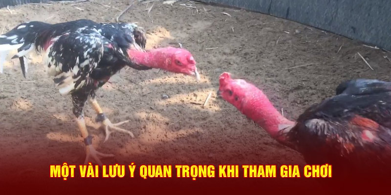 mot-vai-luu-y-quan-trong-khi-tham-gia-choi