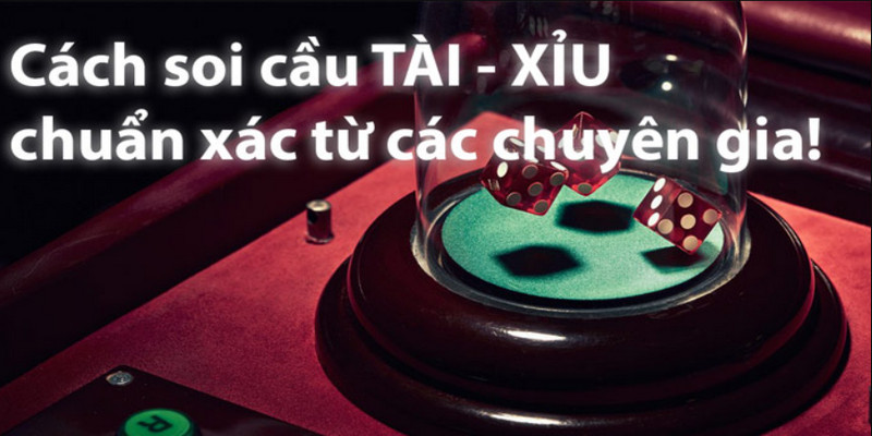 Cách chơi sau khi đã soi cầu tìm được cửa cược mới