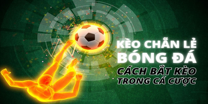 Những cửa và kiểu cược trong kèo chẵn lẻ bóng đá